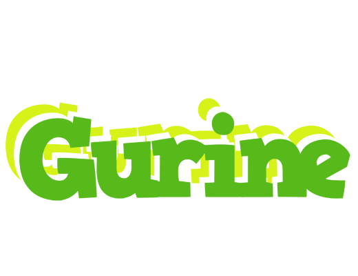 Gurine picnic logo