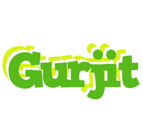 Gurjit picnic logo