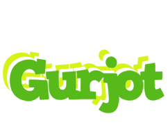 Gurjot picnic logo