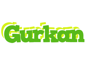 Gurkan picnic logo
