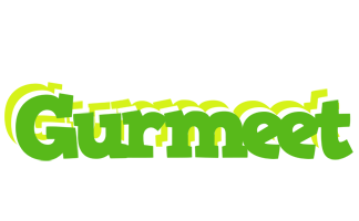 Gurmeet picnic logo