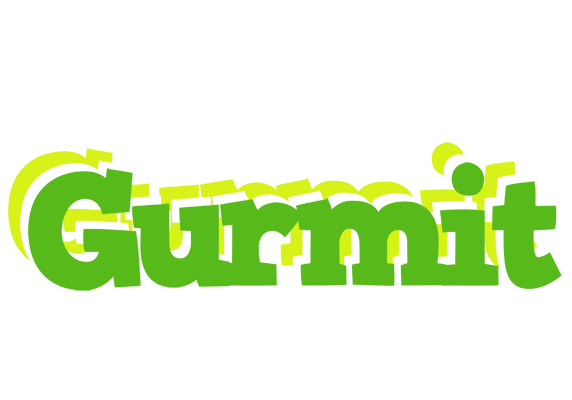 Gurmit picnic logo