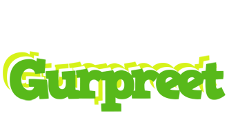 Gurpreet picnic logo