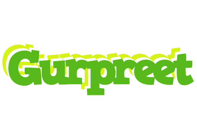 Gurpreet picnic logo
