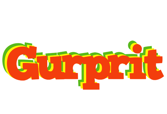 Gurprit bbq logo