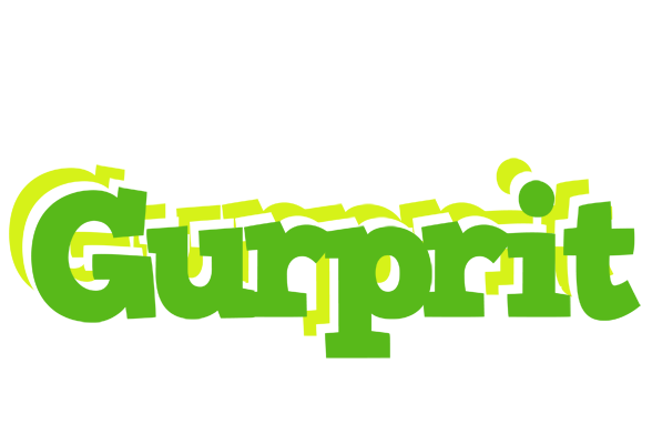 Gurprit picnic logo