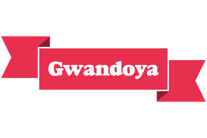 Gwandoya sale logo