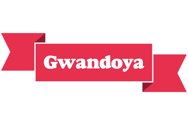 Gwandoya sale logo