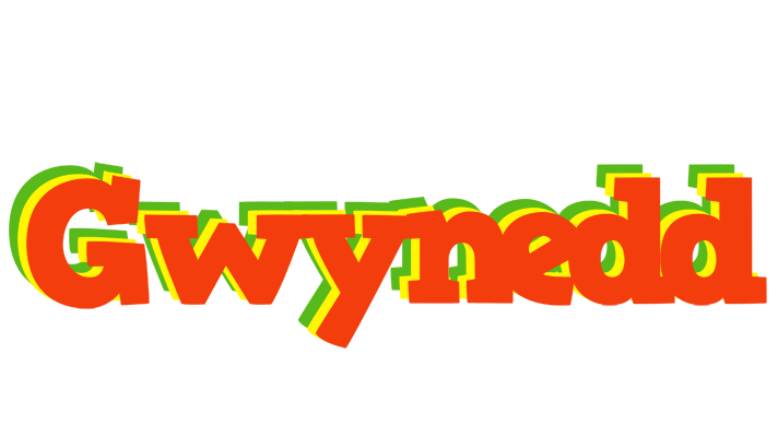 Gwynedd bbq logo
