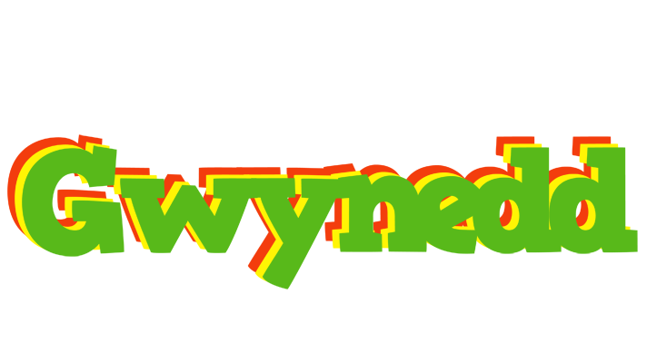 Gwynedd crocodile logo