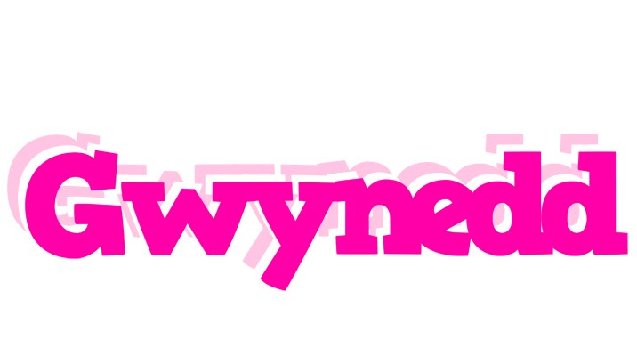 Gwynedd dancing logo