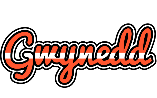 Gwynedd denmark logo