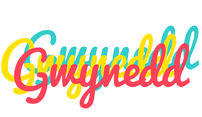 Gwynedd disco logo