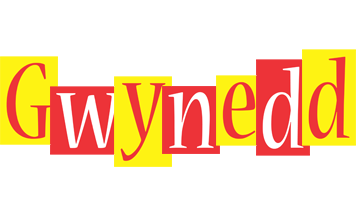 Gwynedd errors logo