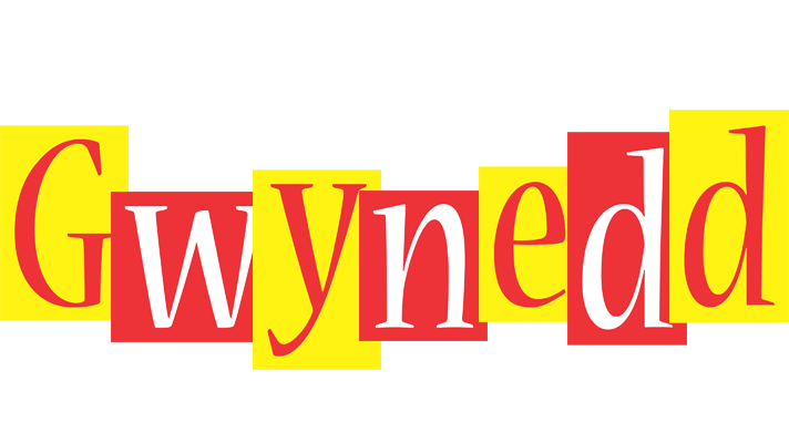 Gwynedd errors logo