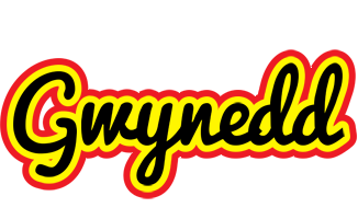 Gwynedd flaming logo