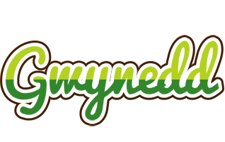 Gwynedd golfing logo