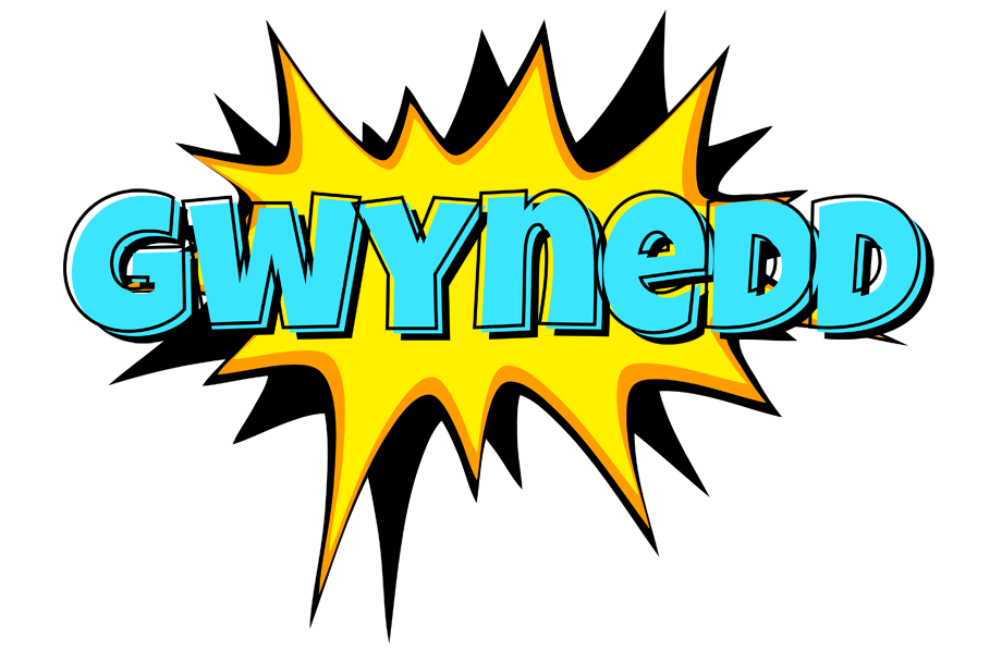 Gwynedd indycar logo