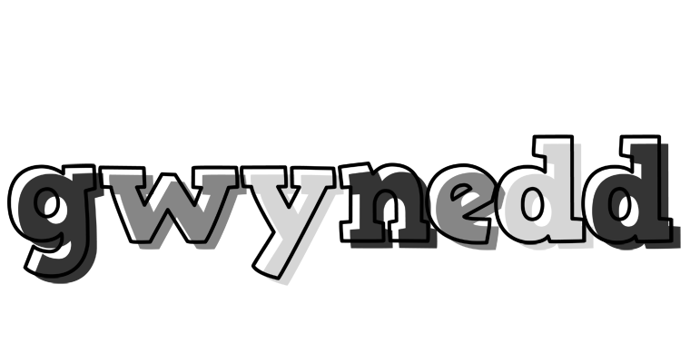 Gwynedd night logo