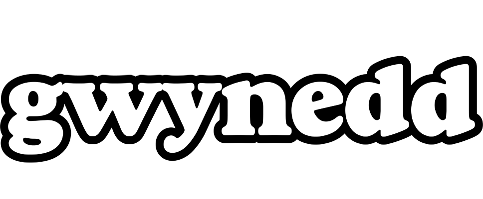 Gwynedd panda logo