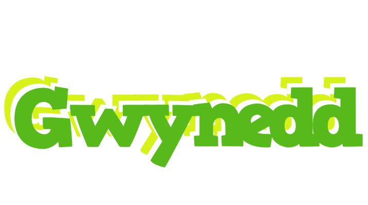 Gwynedd picnic logo