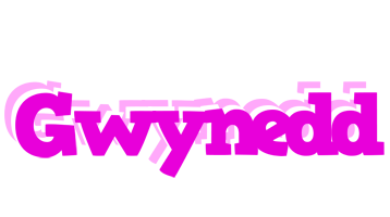 Gwynedd rumba logo