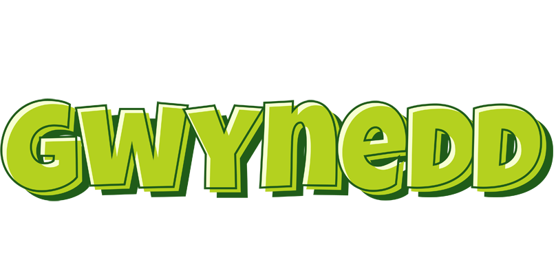 Gwynedd summer logo