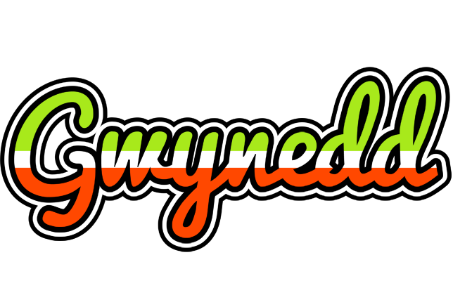 Gwynedd superfun logo