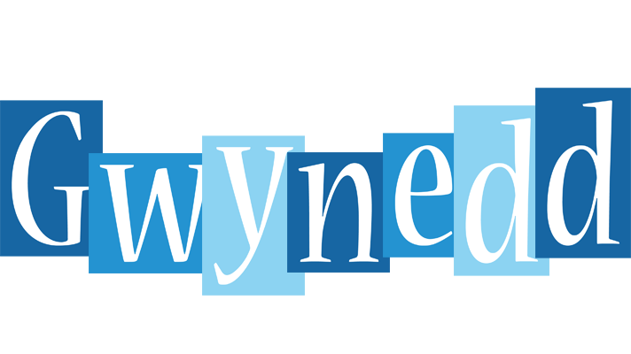 Gwynedd winter logo