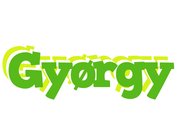 Gyørgy picnic logo