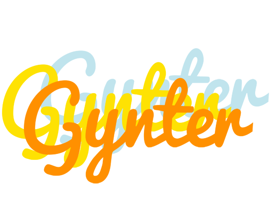Gynter energy logo