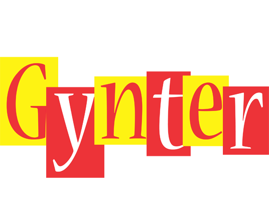 Gynter errors logo