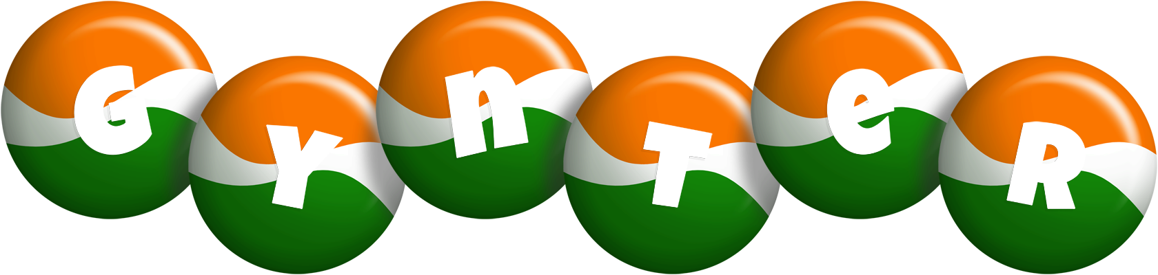 Gynter india logo