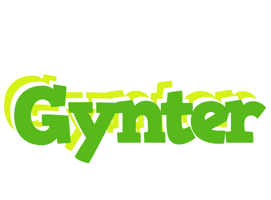 Gynter picnic logo