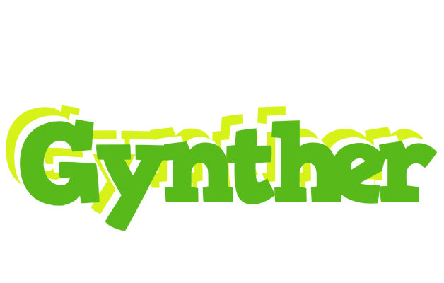 Gynther picnic logo