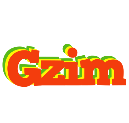 Gzim bbq logo