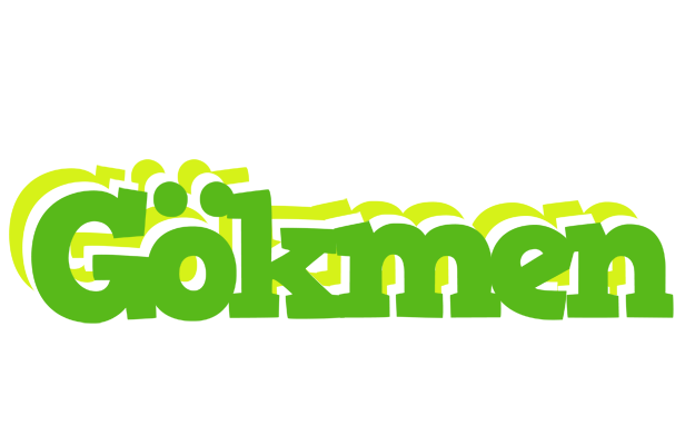 Gökmen picnic logo