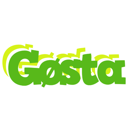 Gøsta picnic logo