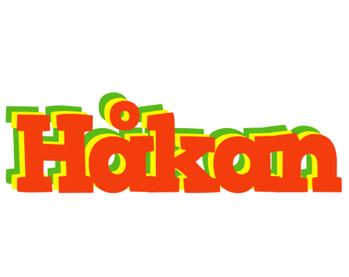 Håkan bbq logo