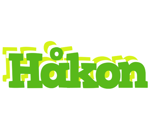Håkon picnic logo