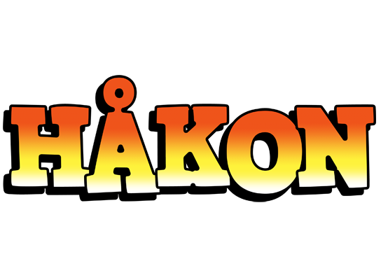 Håkon sunset logo