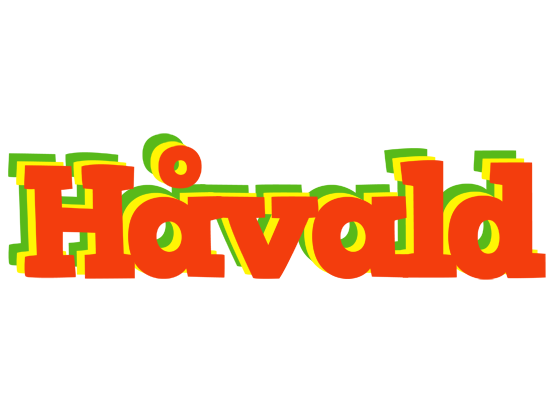 Håvald bbq logo