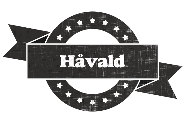 Håvald grunge logo