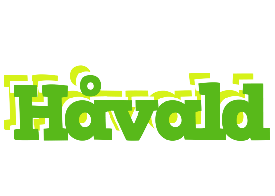 Håvald picnic logo