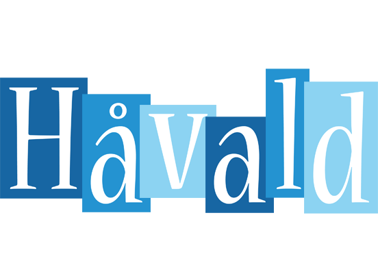 Håvald winter logo