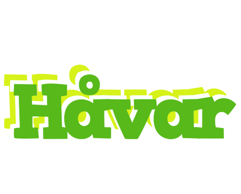 Håvar picnic logo