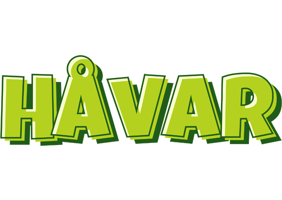 Håvar summer logo