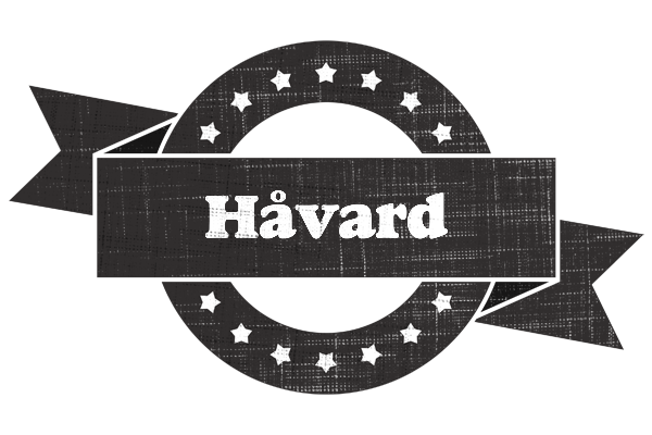 Håvard grunge logo