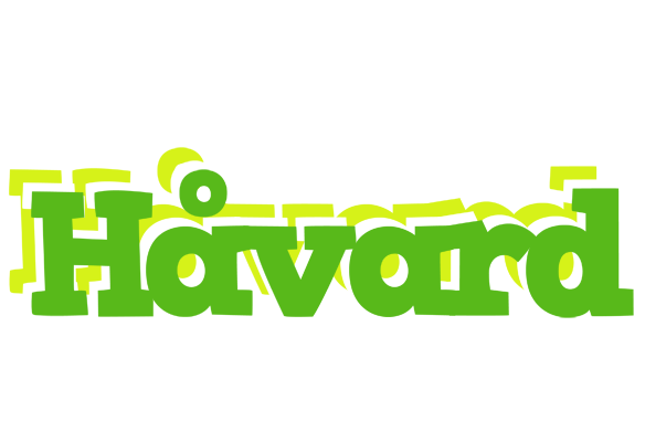 Håvard picnic logo