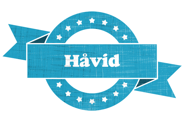 Håvid balance logo